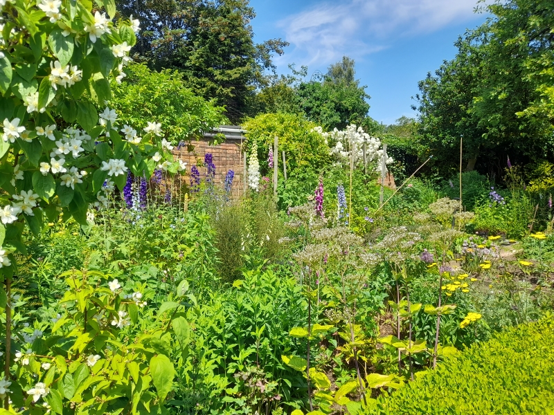 The Secret Garden at Wigston Framework Knitters Museum